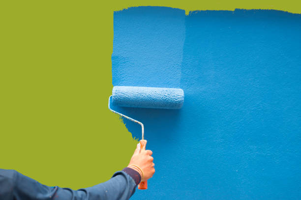 Best Black Mold Removal  in Emerald Lake Hills, CA